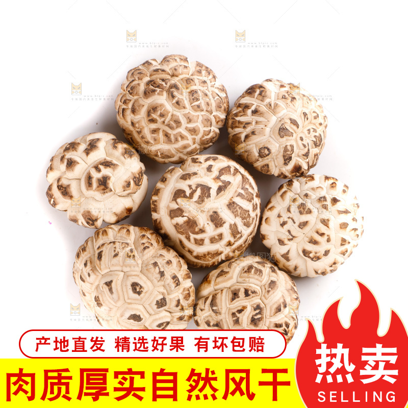 白底上放着花菇