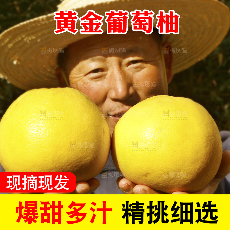 农民手里拿着新鲜葡萄柚