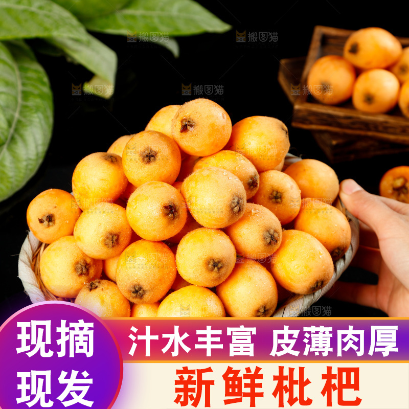 手里端着一篮米易枇杷