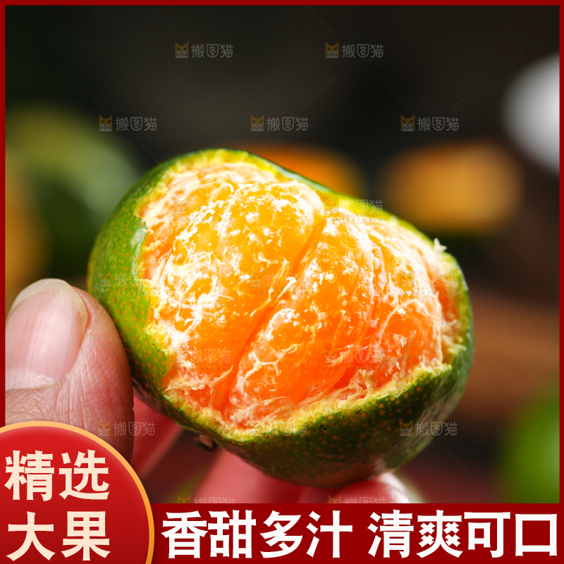 手里拿着清香蜜桔