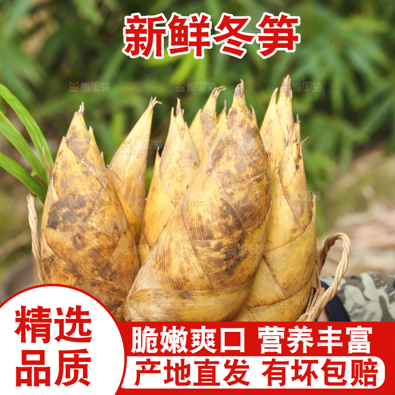 手里端着一篮黄泥冬笋