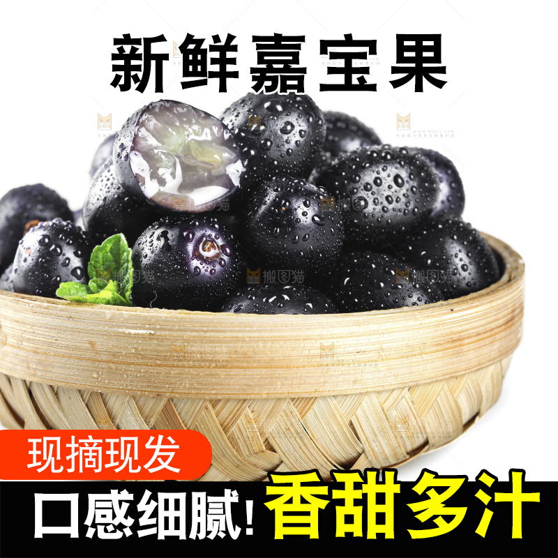 篮子里装着嘉宝果