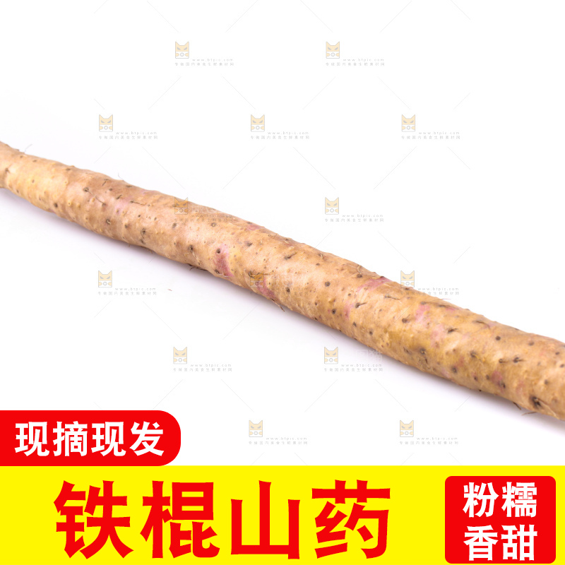 白底上的铁杆山药