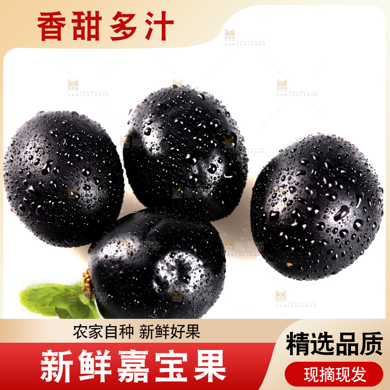 白底上的台湾嘉宝果