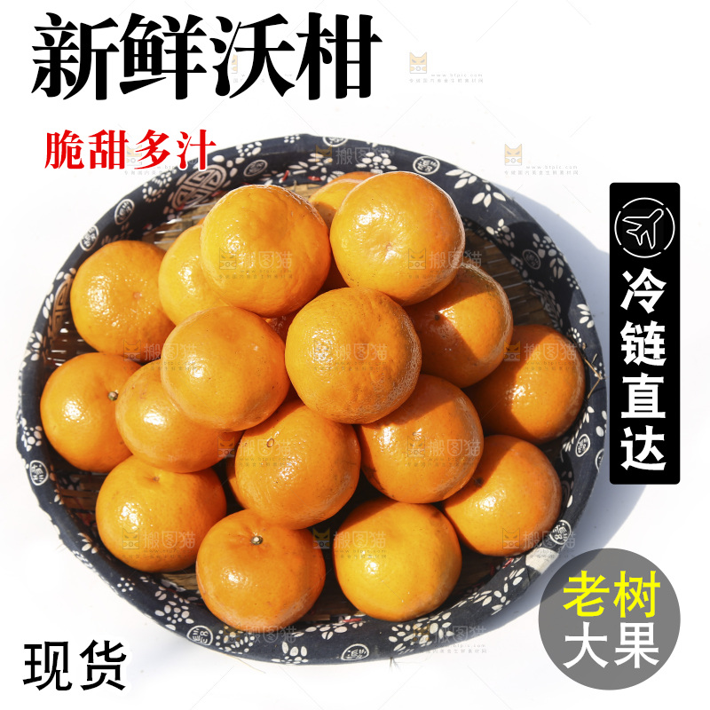白底上放着一篮新鲜沃柑