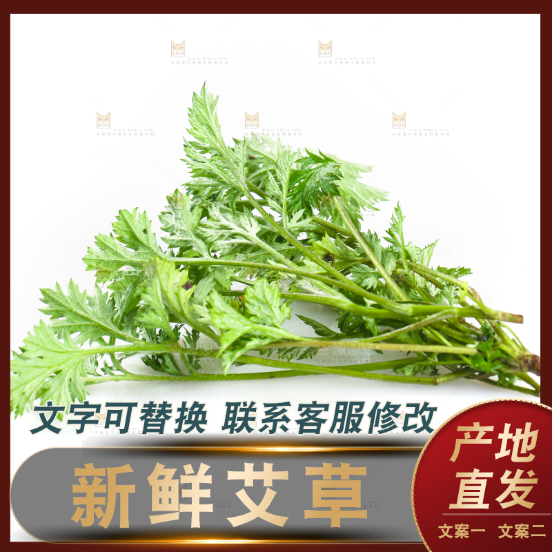 白底上的艾蒿草