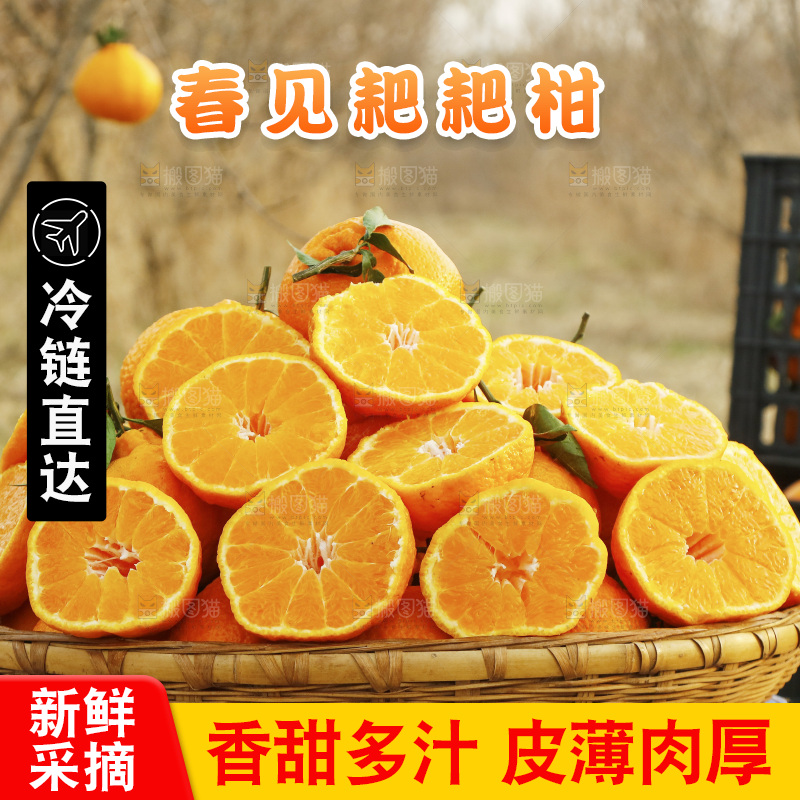 篮子里装着耙耙柑