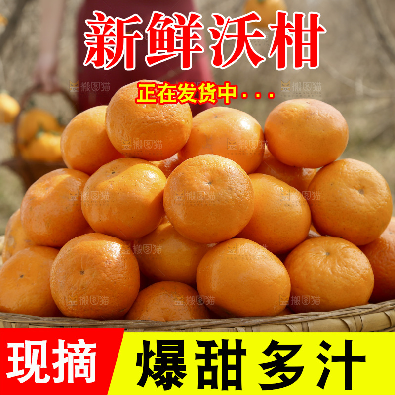 篮子里装着新鲜沃柑