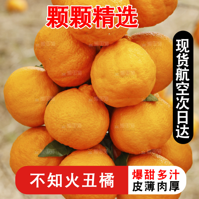 手里拿着一串丑橘