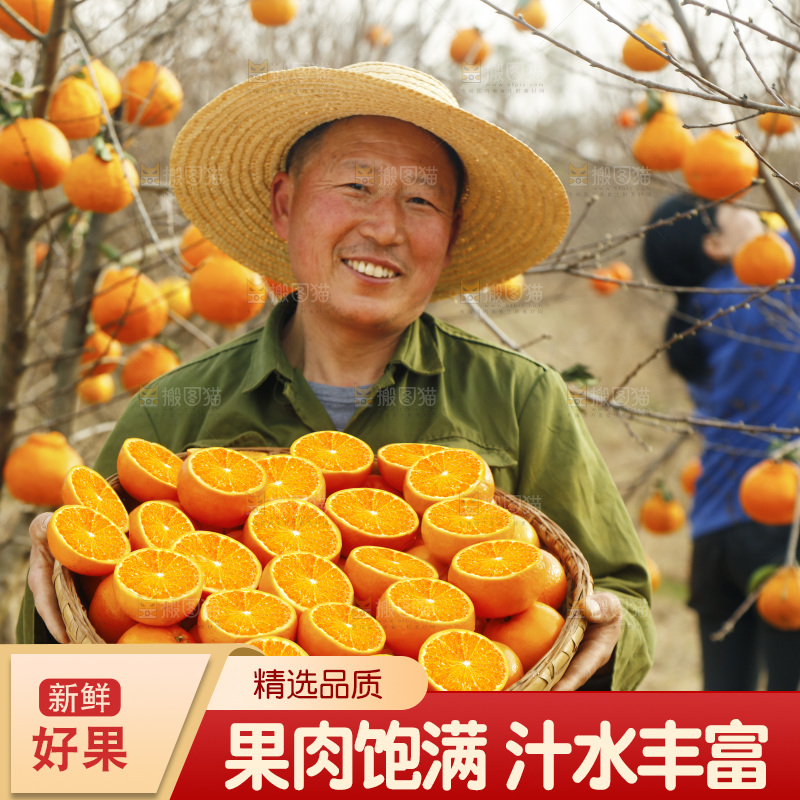 果园农民手里端着一篮沃柑