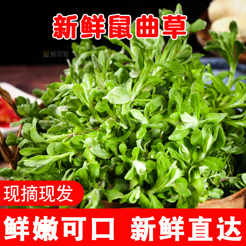 篮子里的清明草