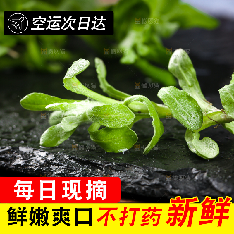 黑石板上的清明草