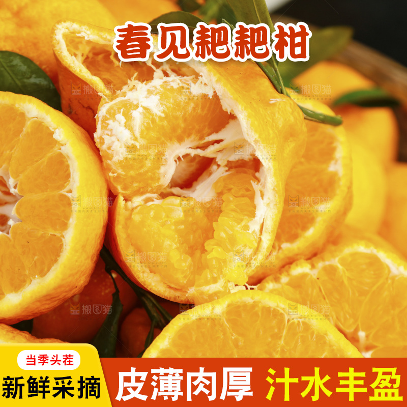 篮子里装着耙耙柑