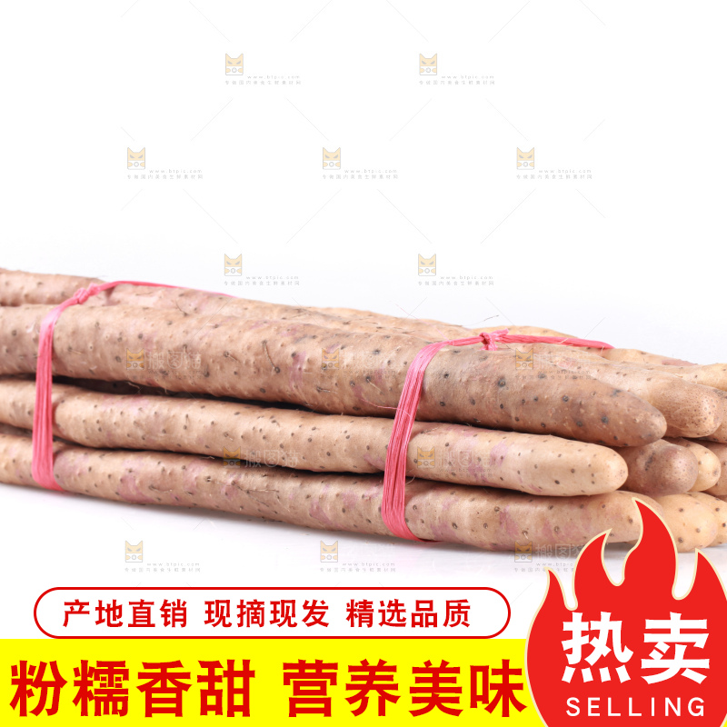 白底上的新鲜铁棍山药