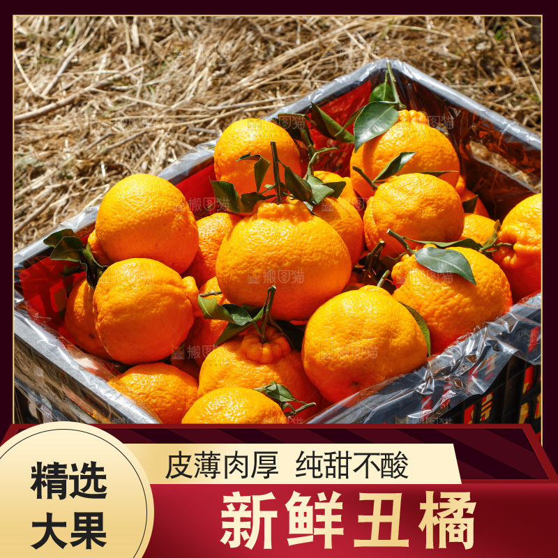 草地上放着一框四川丑橘