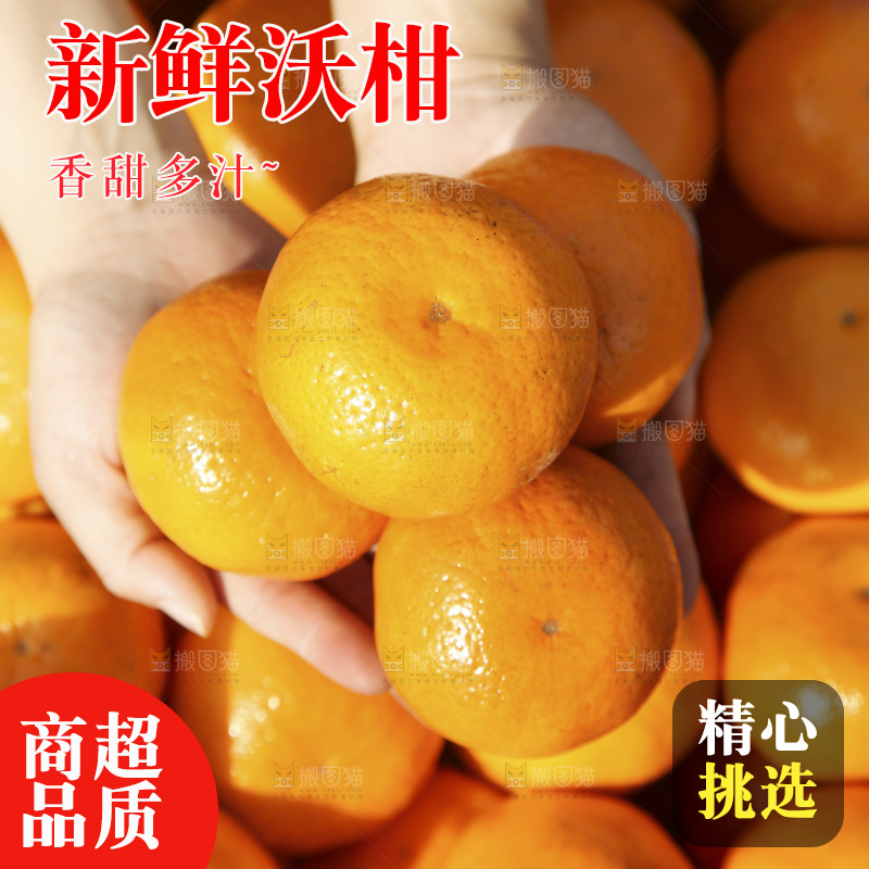 手里捧着广西沃柑