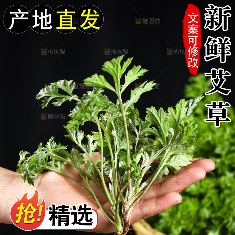 手里拿着新鲜艾草