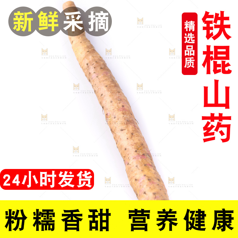 白底上的铁杆山药