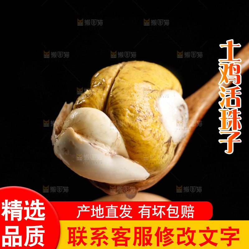 勺子上舀着活珠子