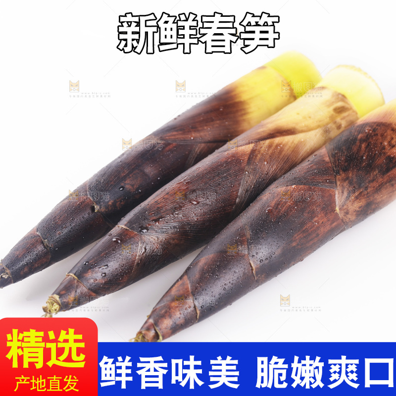 白底上的新鲜春笋