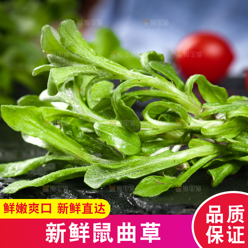 黑石板上的清明草