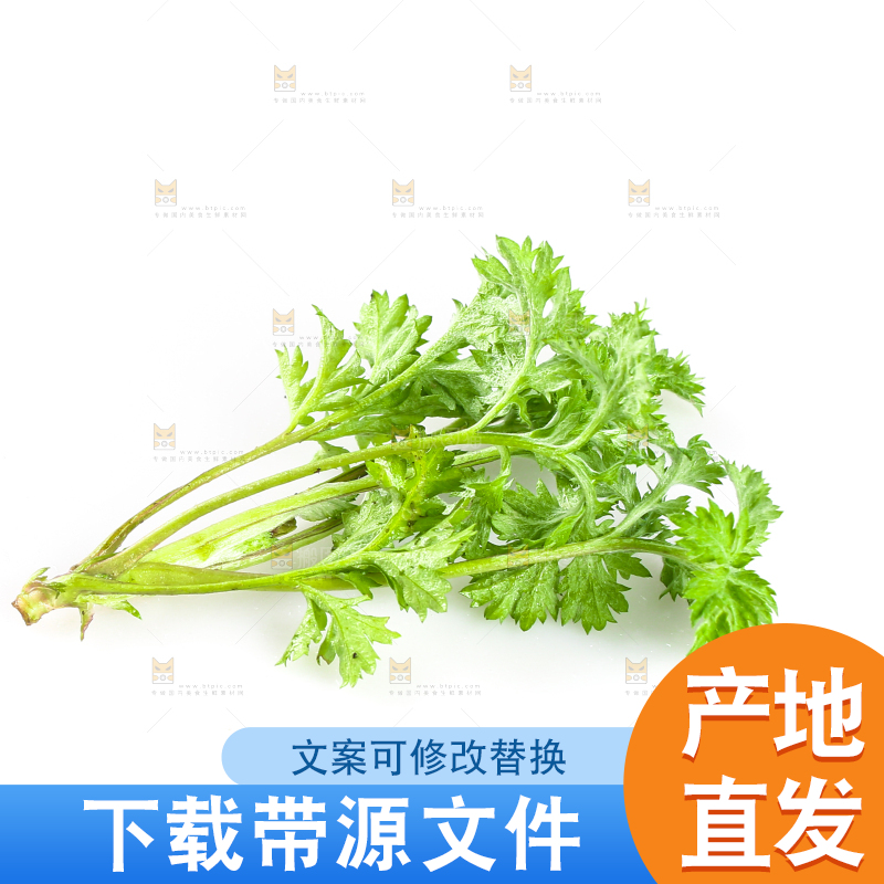 白底上的艾蒿草
