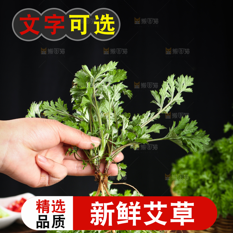 手里拿着艾草叶