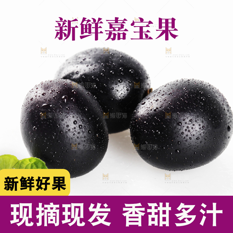 白底上的台湾嘉宝果