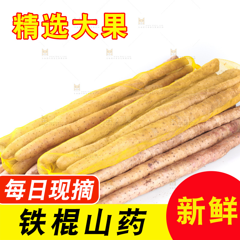 白底上一堆铁棍山药