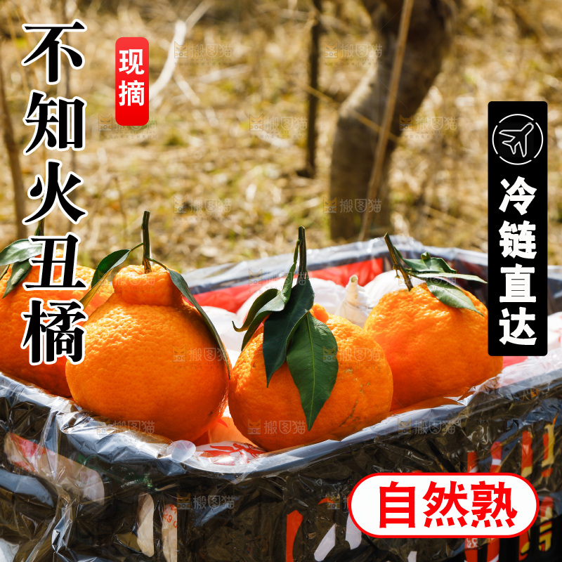 草地上放着一框四川丑橘