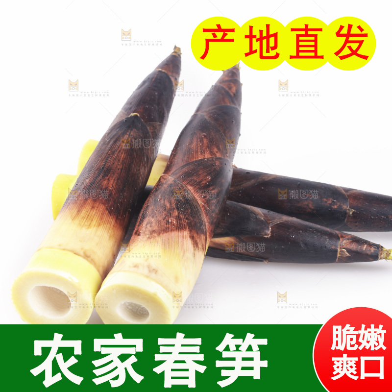 白底上的新鲜春笋