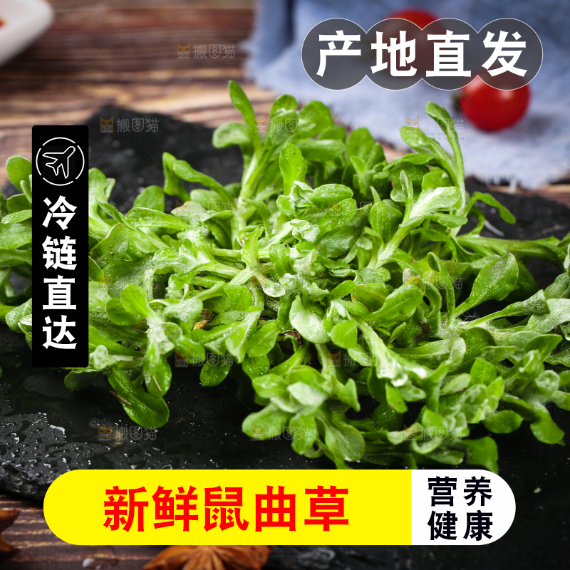 黑石板上的清明草