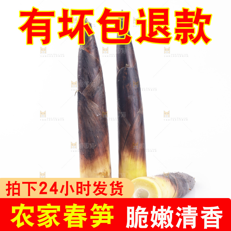 白底上的新鲜春笋