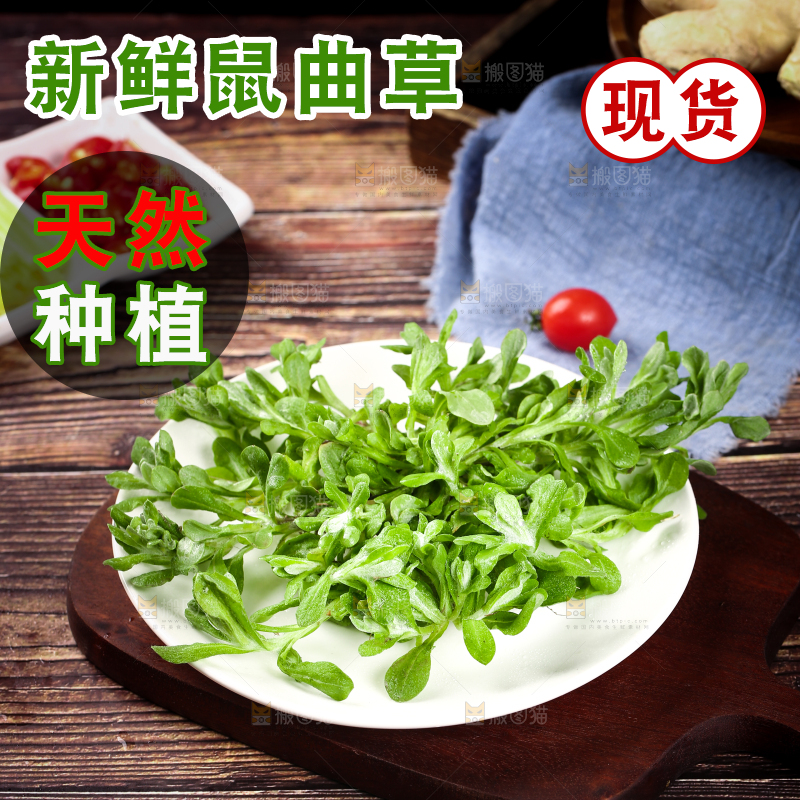 盘子里装着鼠曲草