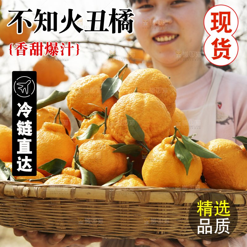 女孩手里抱着一篮四川丑橘