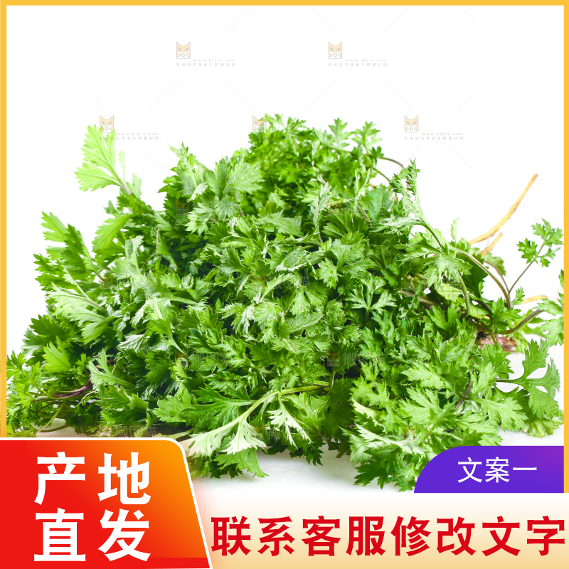 白底上的艾蒿草