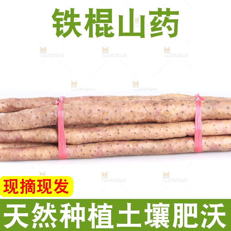 白底上的新鲜铁棍山药