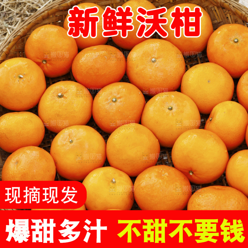 篮子里装着沃柑