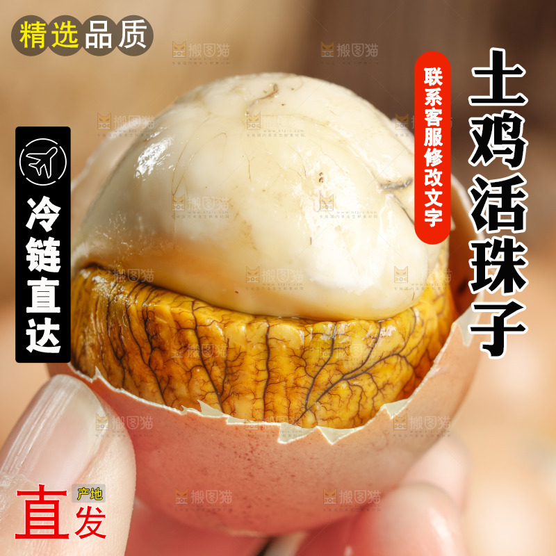 手里拿着活珠子