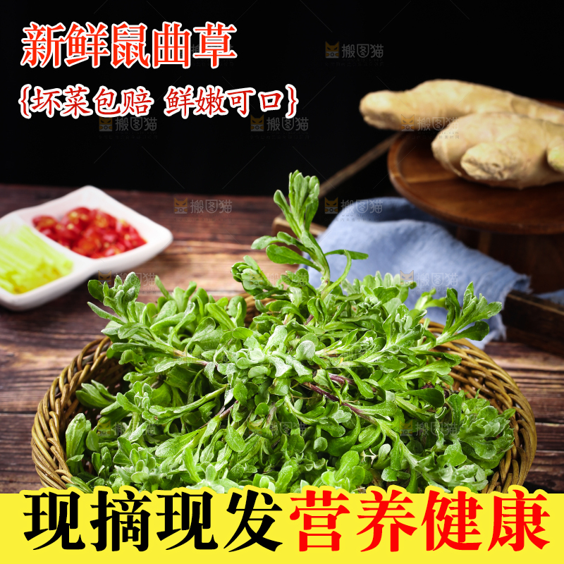 篮子里的清明草