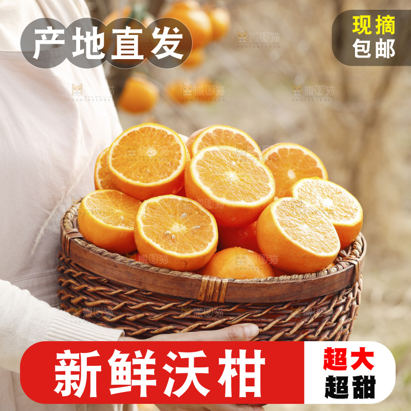 手里端着一篮武鸣沃柑