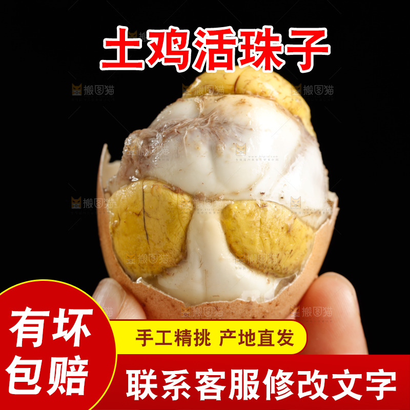 手里拿着活珠子