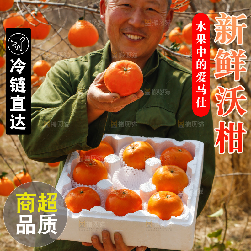 果园农民手里端着一箱沃柑