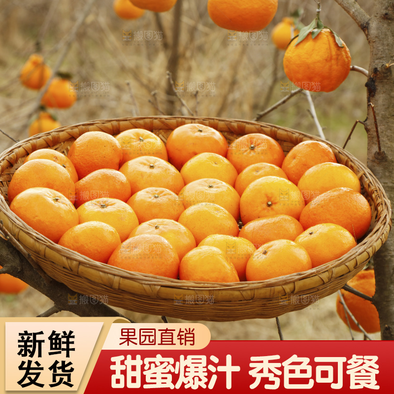 篮子里装着沃柑