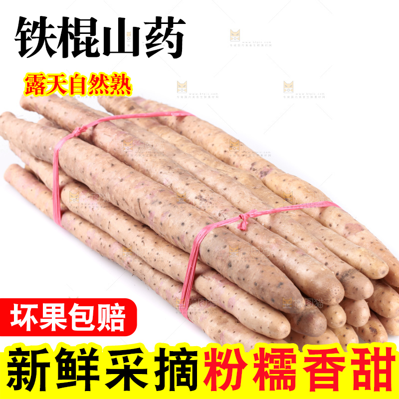 白底上的新鲜铁棍山药