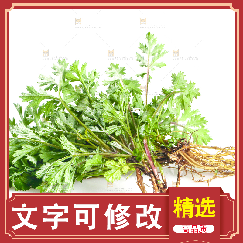 白底上的艾蒿草