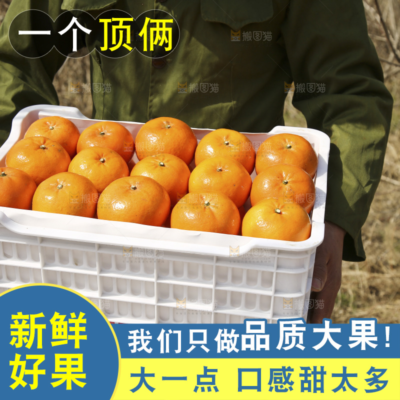 手里抱着一框广西武鸣沃柑