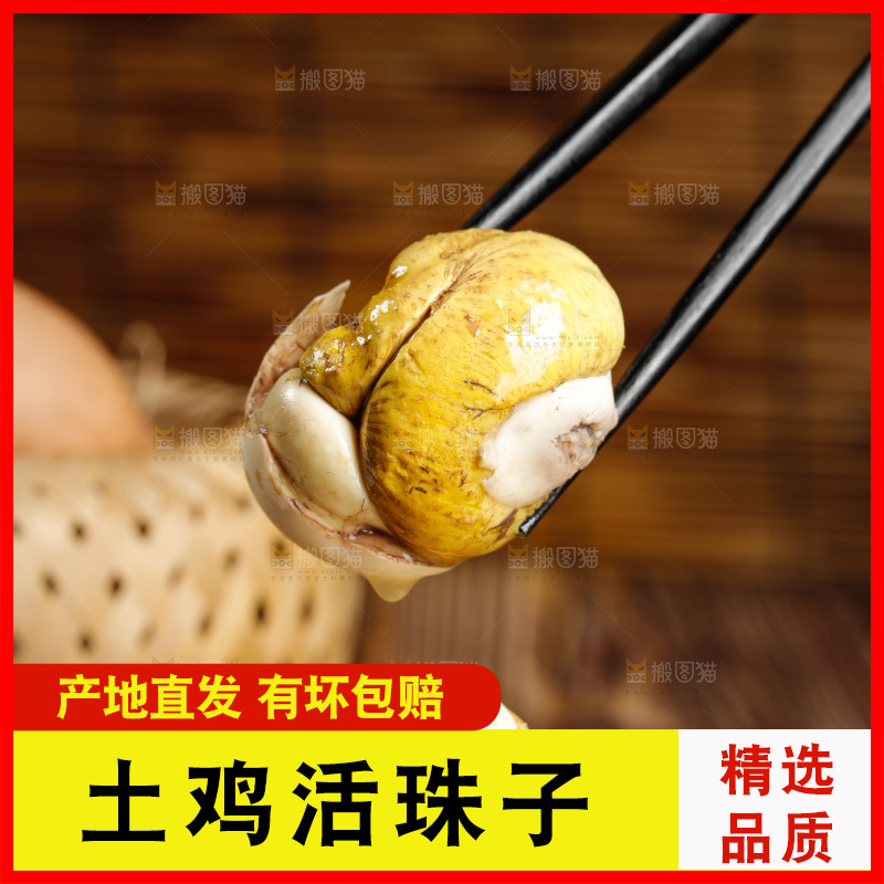筷子上夹着凤凰蛋