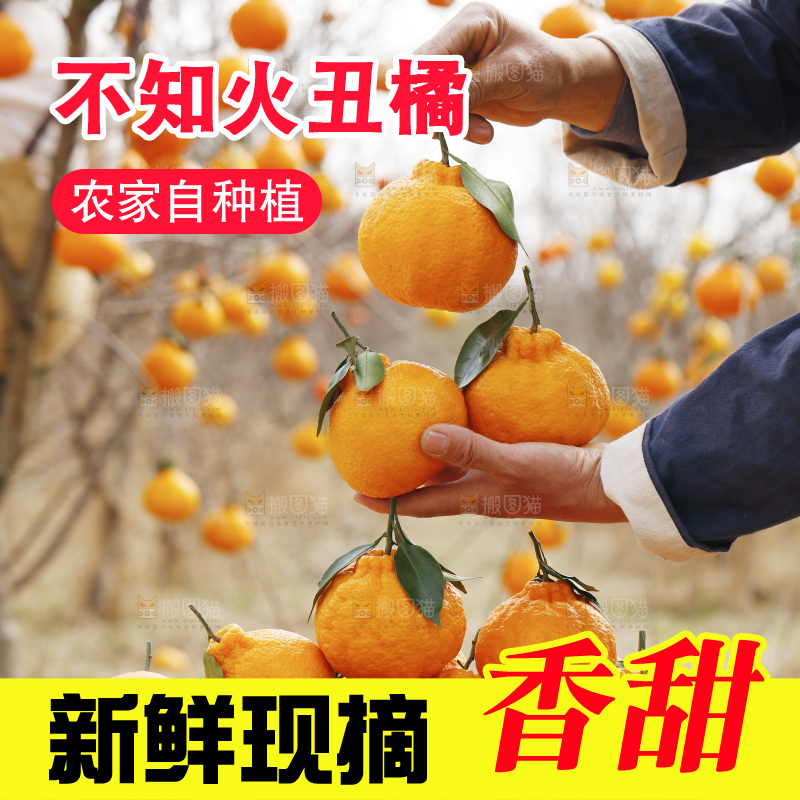 手里拿着丑八怪