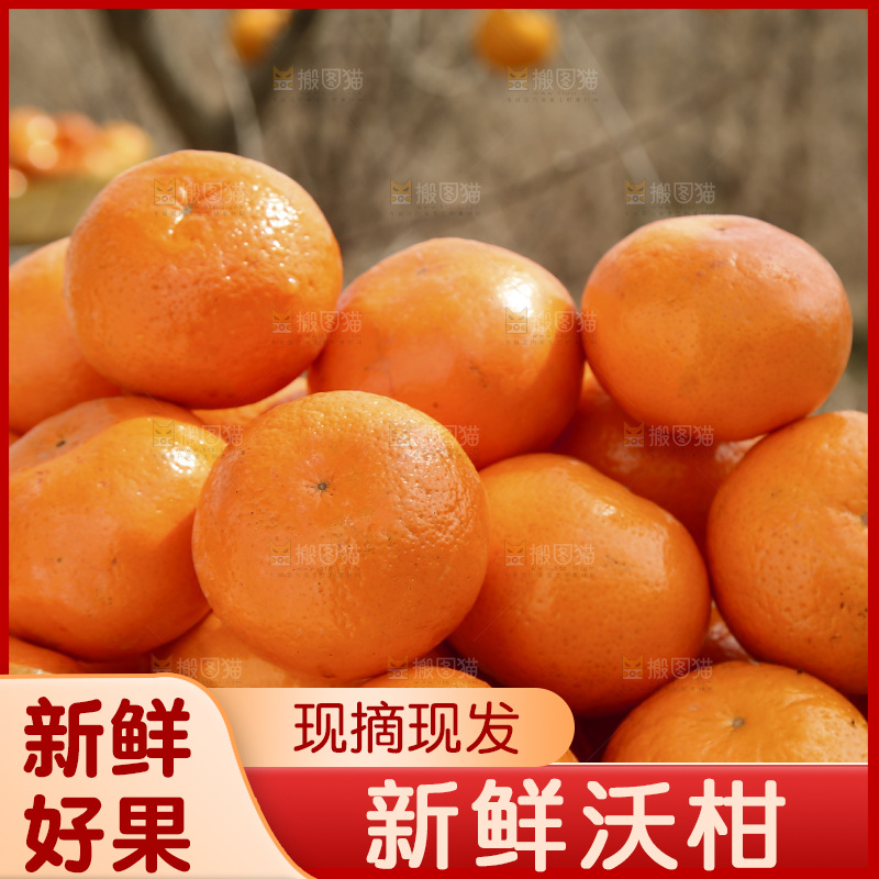 篮子里装着新鲜沃柑